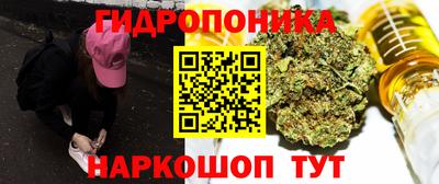 сатива Абакан